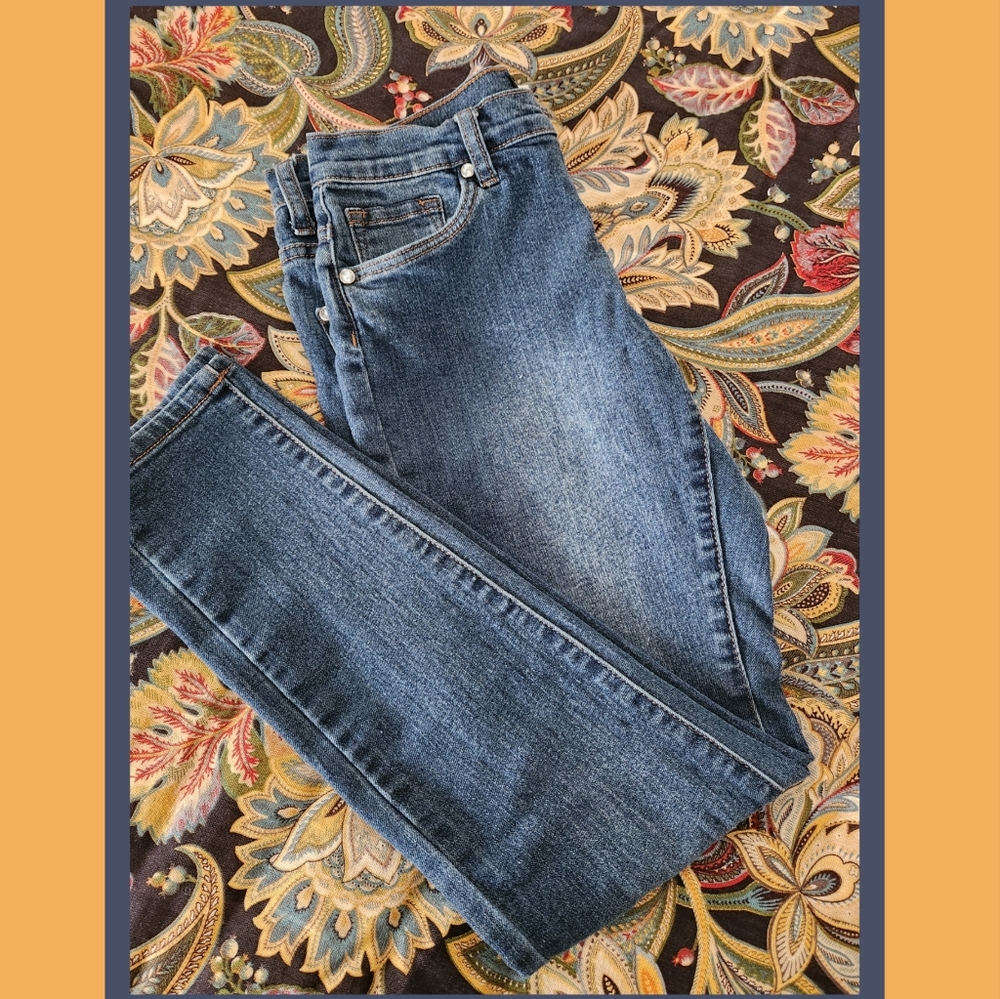 Venus Medium Wash High Rise Skinny Jeans - Size 4